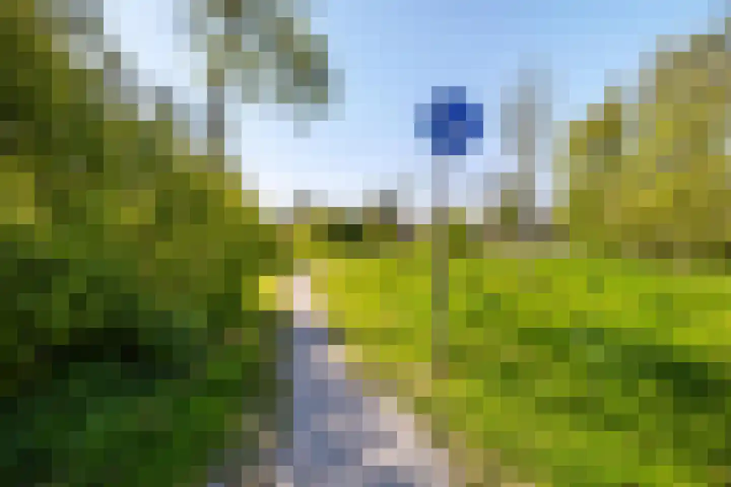 Wijnruitstraat 8 Groningen thumbnail 43