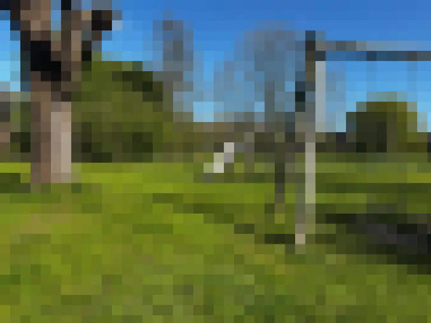 Wijnruitstraat 8 Groningen thumbnail 44