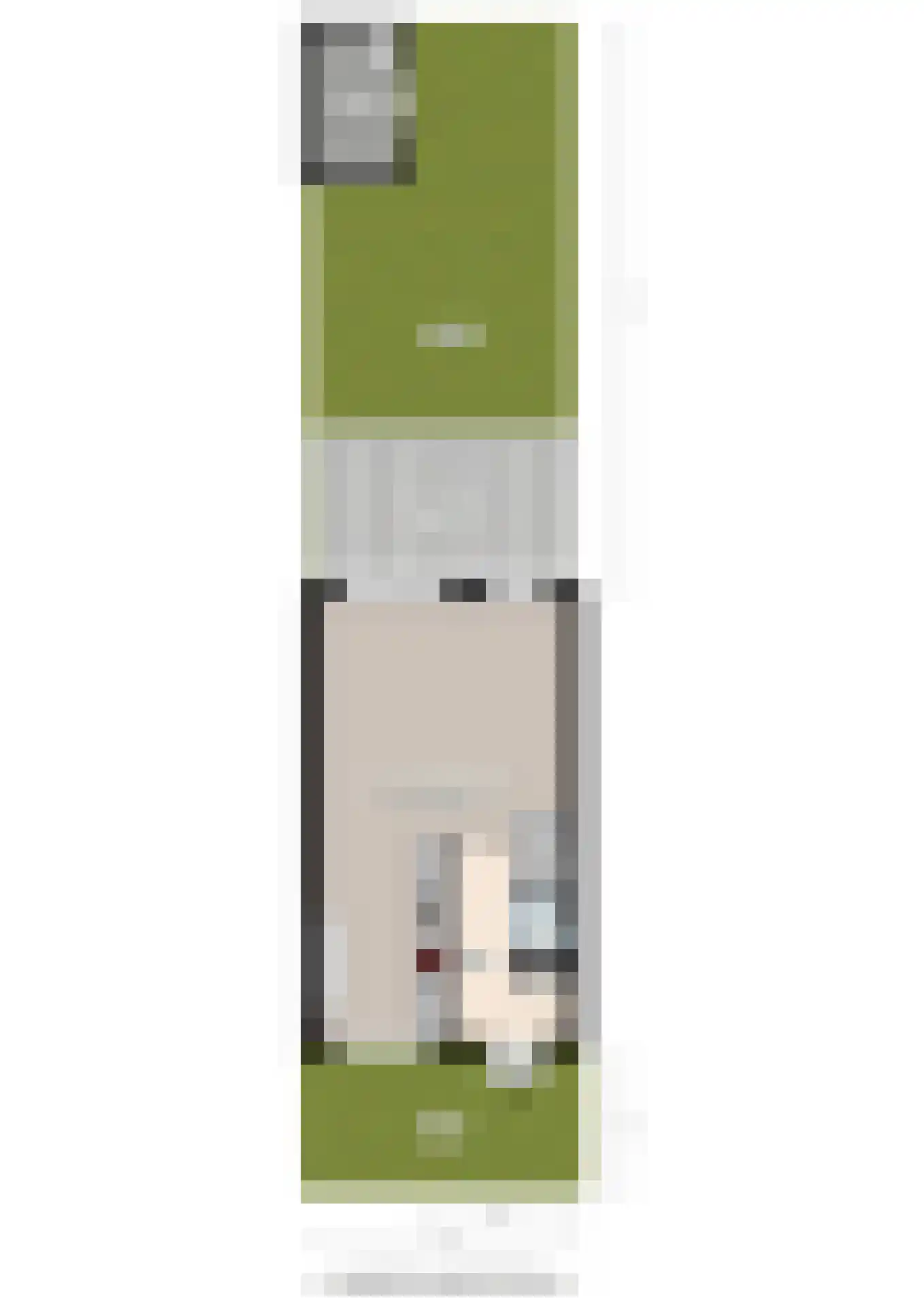 Wijnruitstraat 8 Groningen thumbnail 46