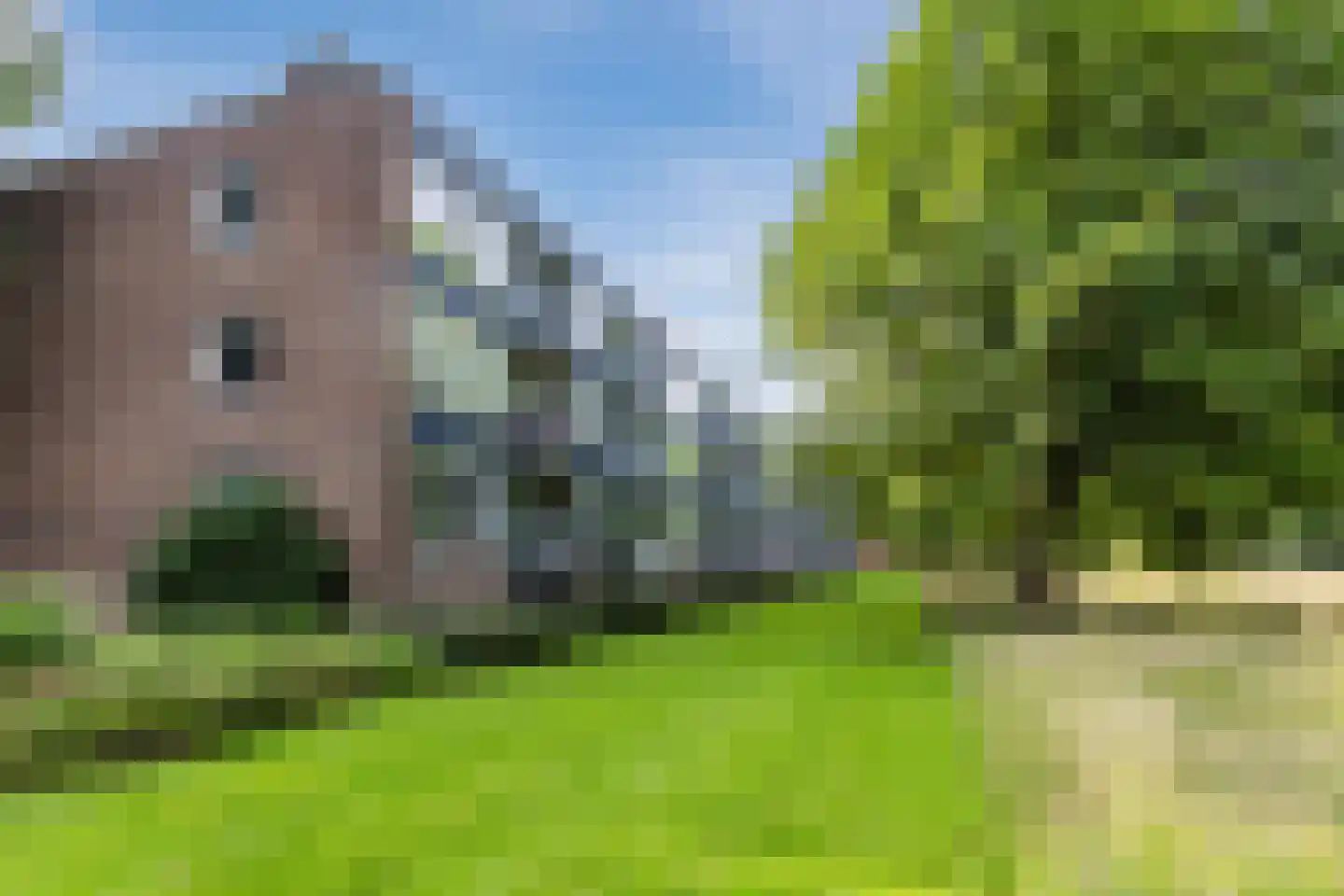 Wijnruitstraat 85 Hoogvliet Rotterdam thumbnail 5