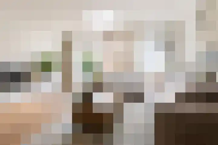 Wijnruitstraat 9 Groningen thumbnail 11