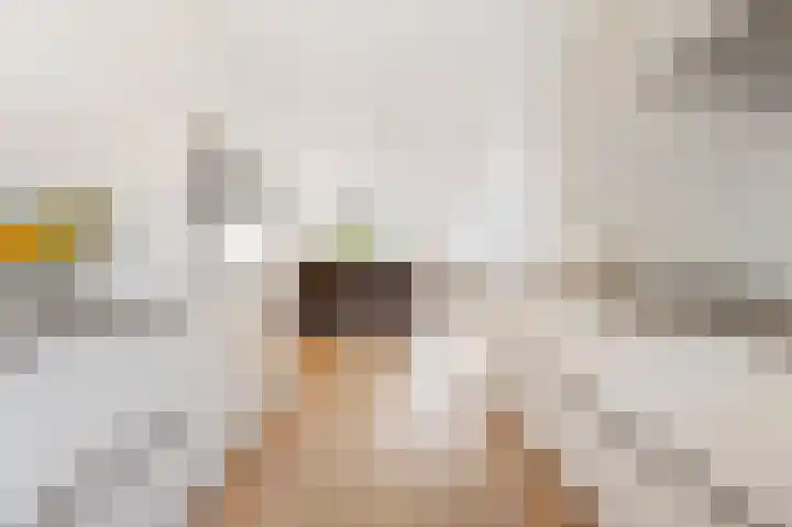 Wijnruitstraat 9 Groningen thumbnail 17