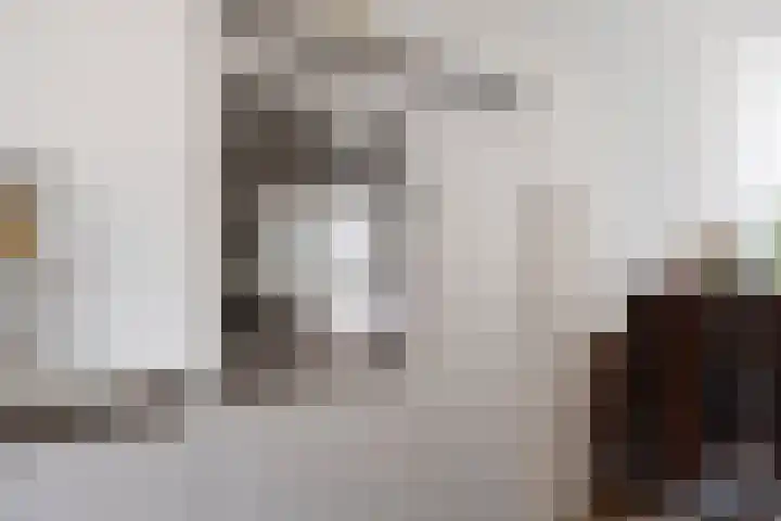 Wijnruitstraat 9 Groningen thumbnail 18