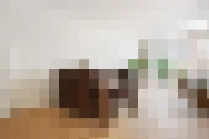 Wijnruitstraat 9 Groningen thumbnail 19