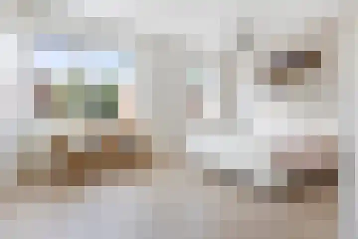 Wijnruitstraat 9 Groningen thumbnail 24