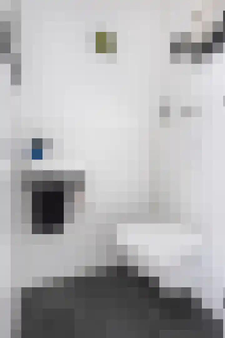 Wijnruitstraat 9 Groningen thumbnail 30
