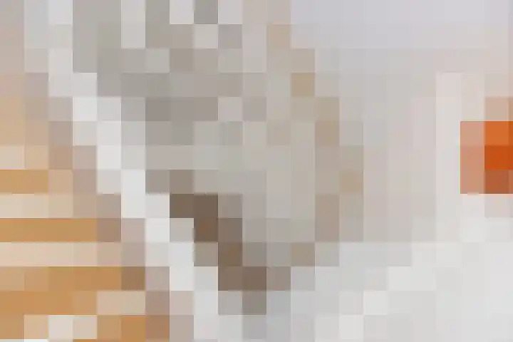 Wijnruitstraat 9 Groningen thumbnail 31