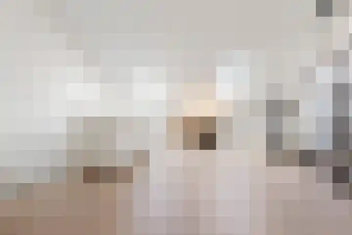 Wijnruitstraat 9 Groningen thumbnail 32
