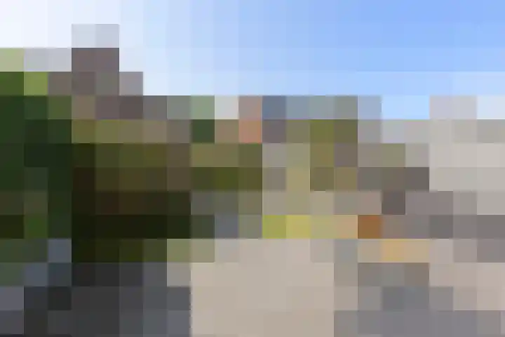 Wijnruitstraat 9 Groningen thumbnail 34
