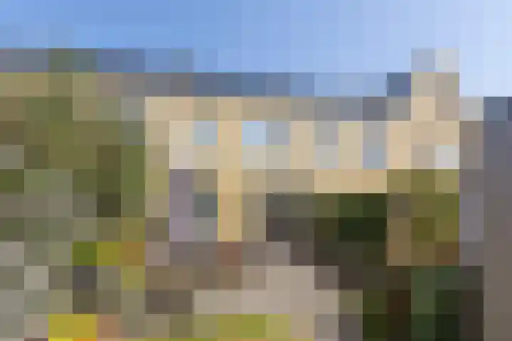 Wijnruitstraat 9 Groningen thumbnail 36