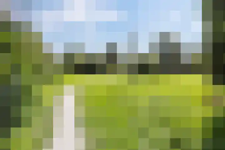 Wijnruitstraat 9 Groningen thumbnail 41