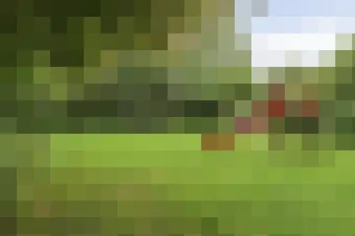 Wijnruitstraat 9 Groningen thumbnail 42