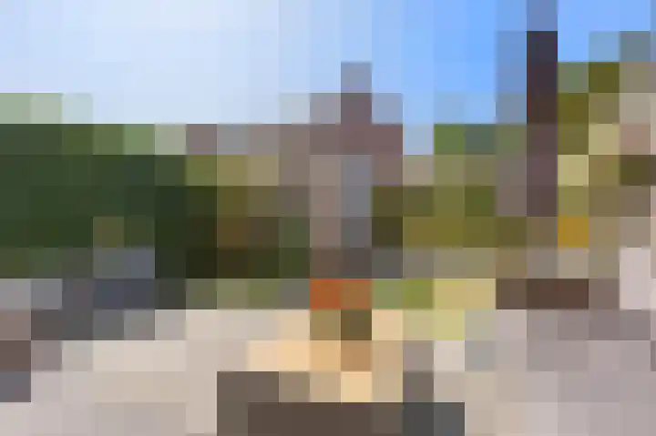 Wijnruitstraat 9 Groningen thumbnail 5