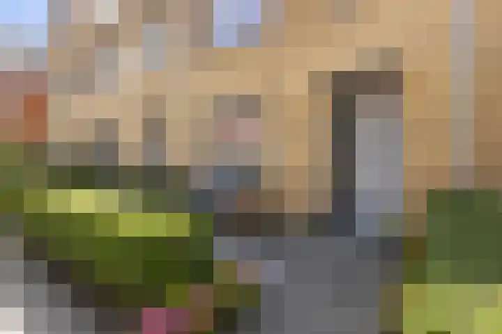 Wijnruitstraat 9 Groningen thumbnail 8