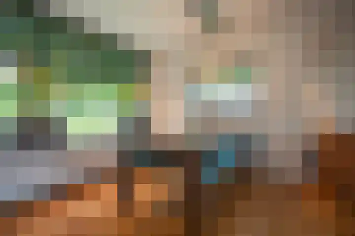 Wijnruitstraat 9 Wierden thumbnail 13