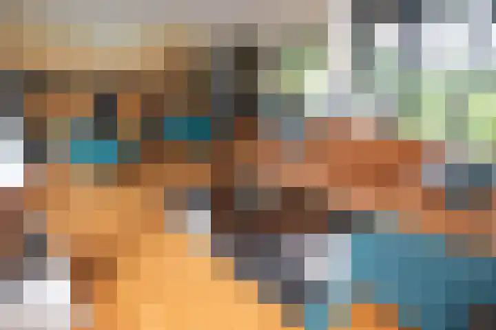 Wijnruitstraat 9 Wierden thumbnail 17