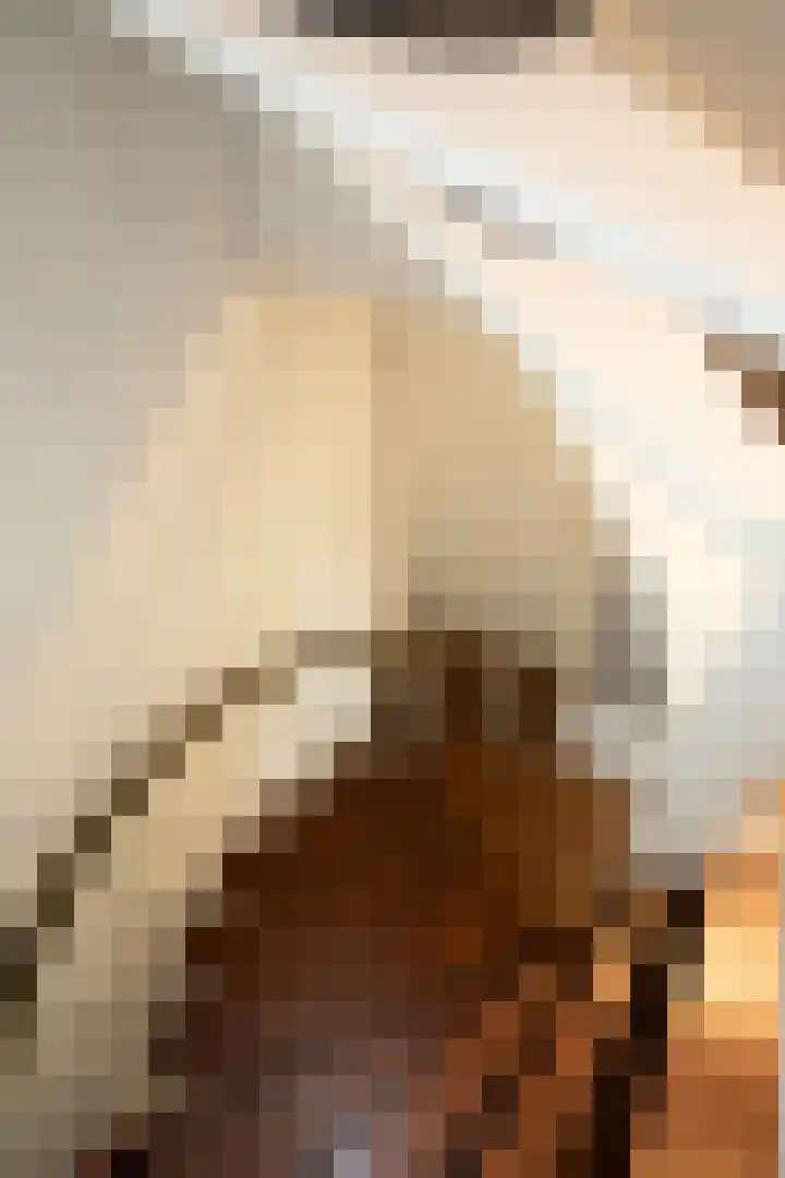 Wijnruitstraat 9 Wierden thumbnail 29