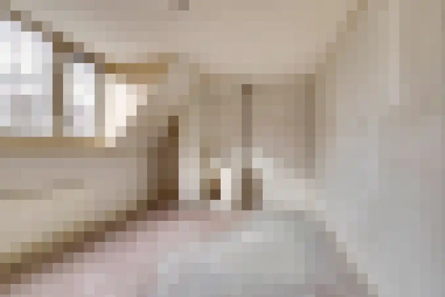 Wijnruitstraat 9 Wierden thumbnail 33