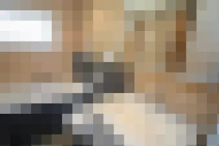 Wijnruitstraat 9 Wierden thumbnail 34