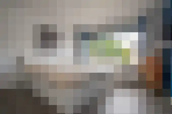 Wijnruitstraat 9 Wierden thumbnail 37
