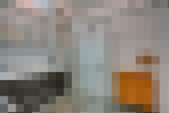 Wijnruitstraat 9 Wierden thumbnail 38