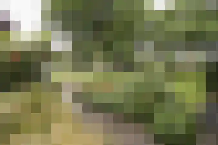 Wijnruitstraat 9 Wierden thumbnail 4