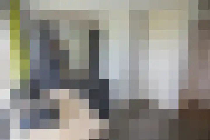 Wijnruitstraat 9 Wierden thumbnail 43