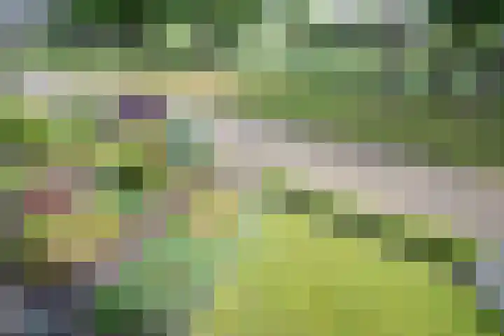 Wijnruitstraat 9 Wierden thumbnail 5