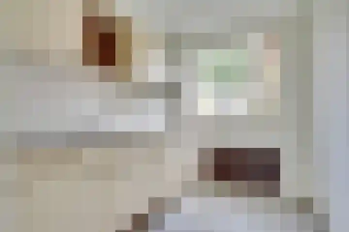 Wijnruitstraat 9 Wierden thumbnail 50