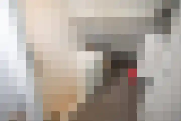 Wijnruitstraat 9 Wierden thumbnail 51