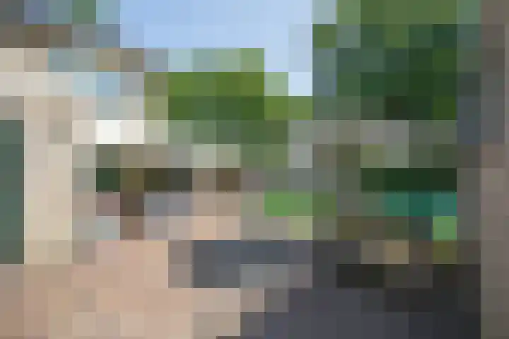 Wijnruitstraat 9 Wierden thumbnail 59
