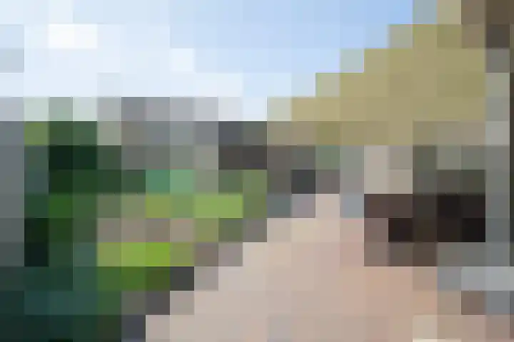 Wijnruitstraat 9 Wierden thumbnail 6