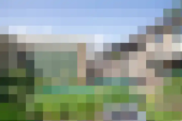 Wijnruitstraat 9 Wierden thumbnail 60