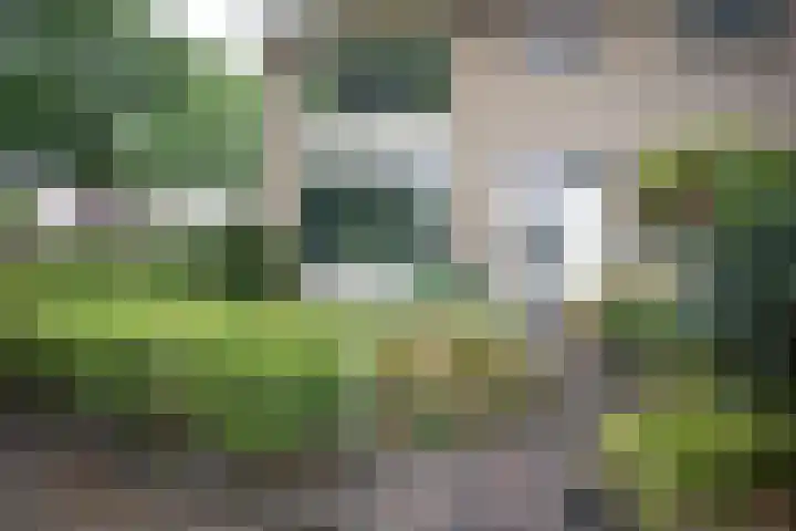 Wijnruitstraat 9 Wierden thumbnail 61
