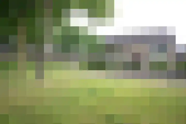 Wijnruitstraat 9 Wierden thumbnail 62