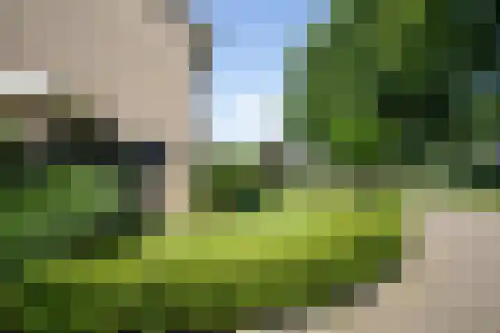 Wijnruitstraat 9 Wierden thumbnail 64