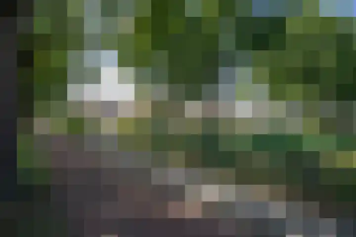 Wijnruitstraat 9 Wierden thumbnail 65