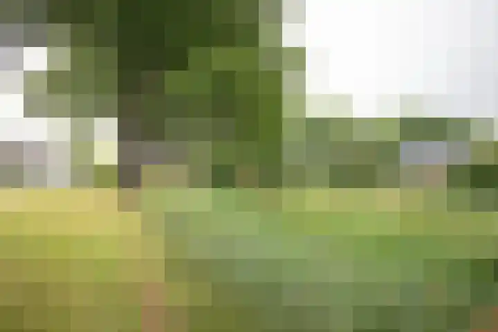 Wijnruitstraat 9 Wierden thumbnail 66