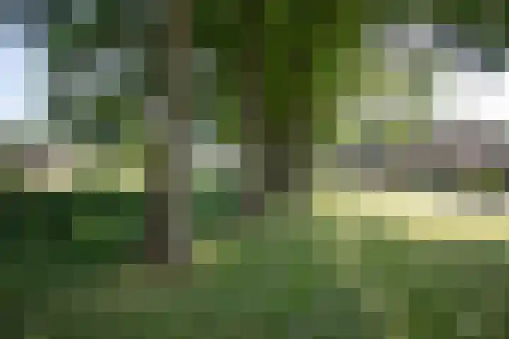 Wijnruitstraat 9 Wierden thumbnail 67