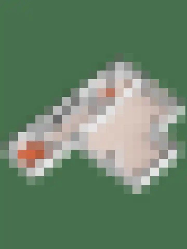 Wijnruitstraat 9 Wierden thumbnail 69