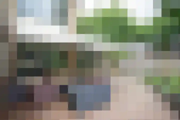 Wijnruitstraat 9 Wierden thumbnail 7