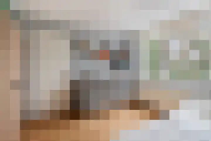 Wijnruitweg 16 Tilburg thumbnail 15