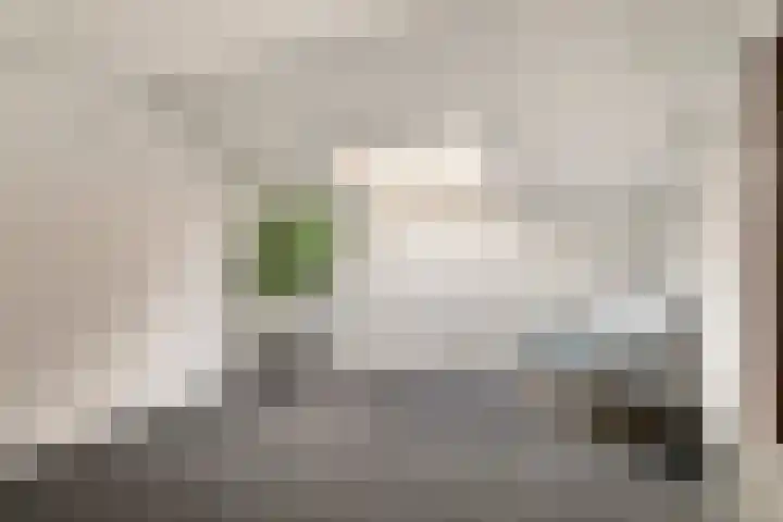 Wijnruitweg 16 Tilburg thumbnail 25