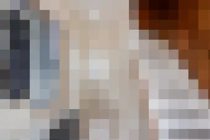Wijnruitweg 16 Tilburg thumbnail 5