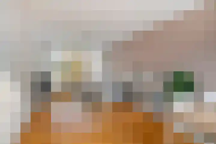 Wijnruitweg 16 Tilburg thumbnail 6