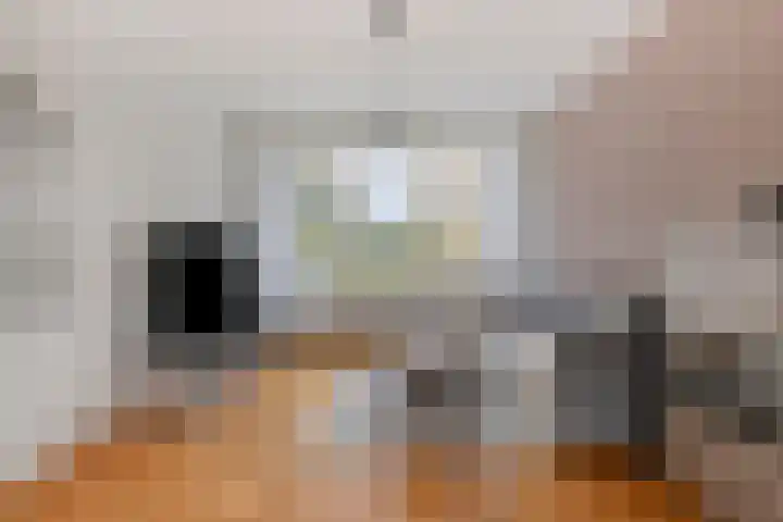 Wijnruitweg 16 Tilburg thumbnail 7
