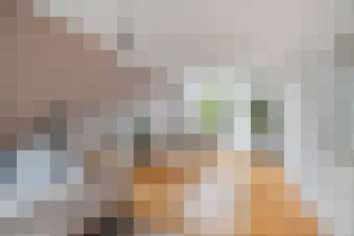 Wijnruitweg 16 Tilburg thumbnail 8