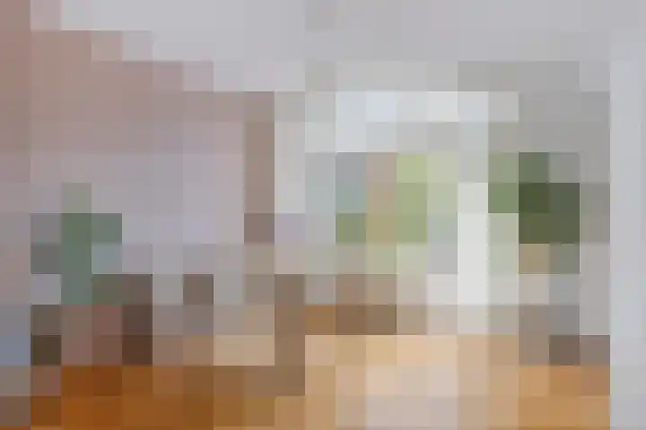 Wijnruitweg 16 Tilburg thumbnail 9