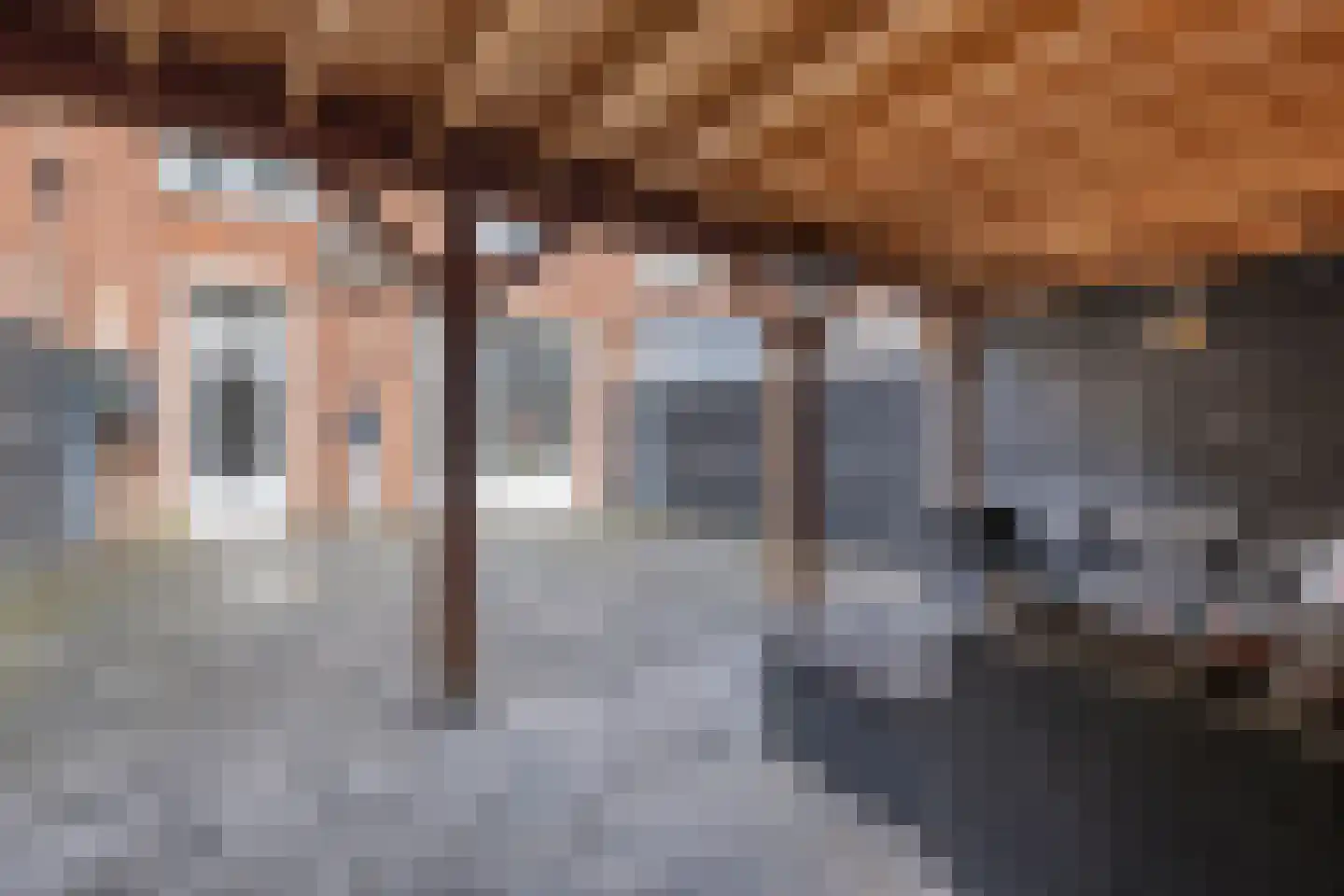 Wijnruitweg 98 Tilburg thumbnail 42