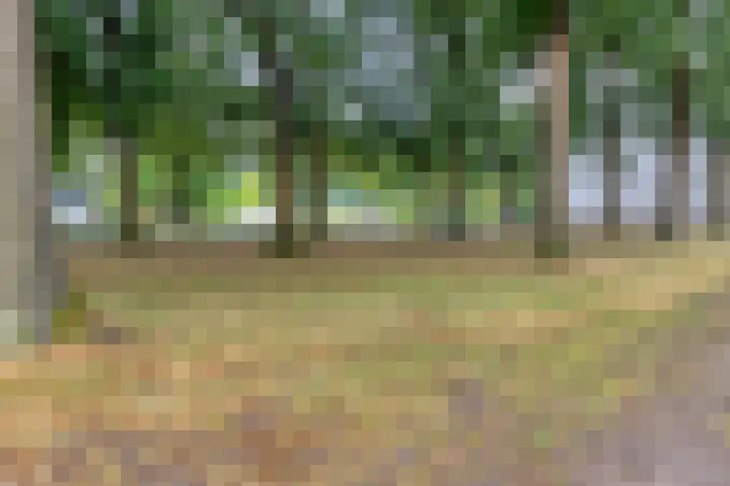 Wijnruitweg 98 Tilburg thumbnail 43